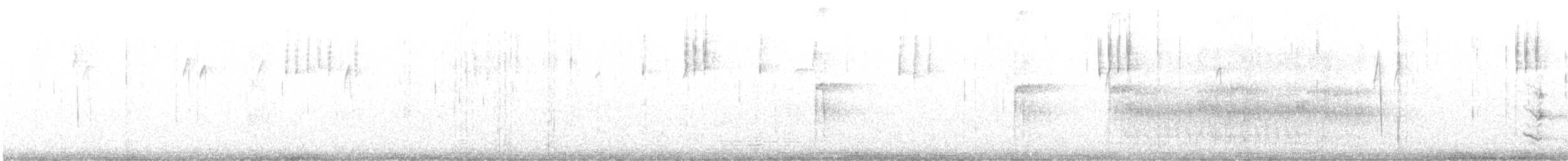 Karolina Çıtkuşu - ML594062471