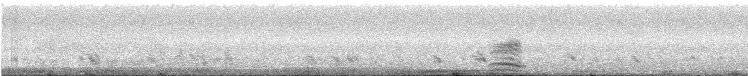 Purple Martin - ML594066341