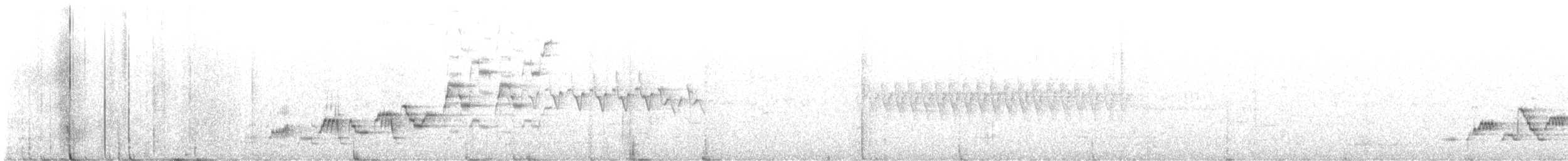 Дрізд-короткодзьоб Cвенсона - ML594066931