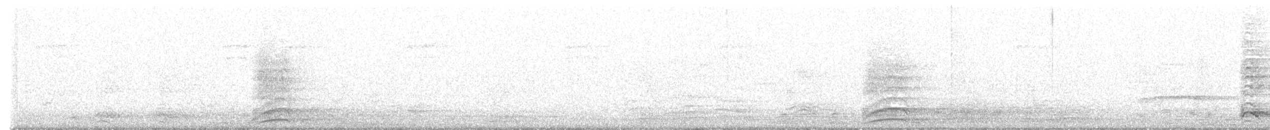 Common Raven - ML594086841