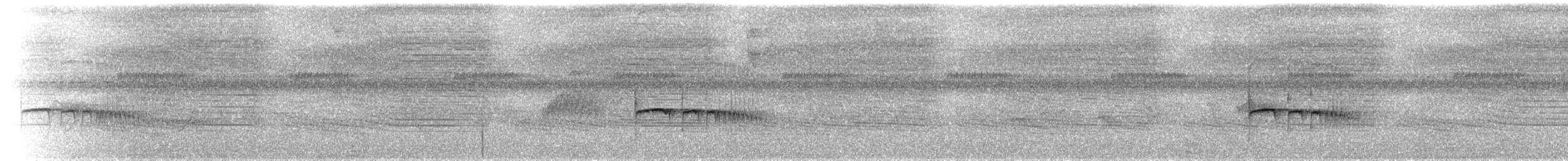 Тиранчик-тонкодзьоб південний - ML594105751