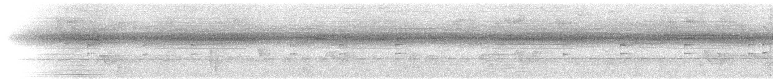 Troglodyte siffleur - ML594106611