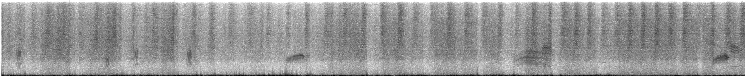 灰頭椋鳥 - ML594136061