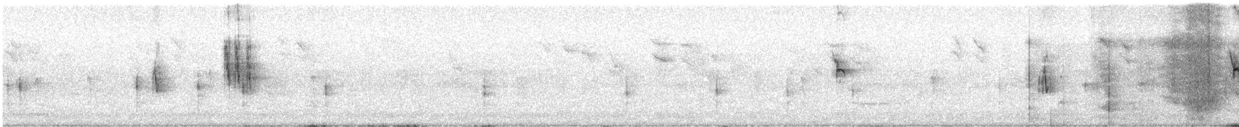 Кам’янка звичайна (підвид oenanthe/libanotica) - ML594156281