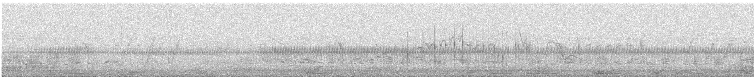Croccolone - ML594193381