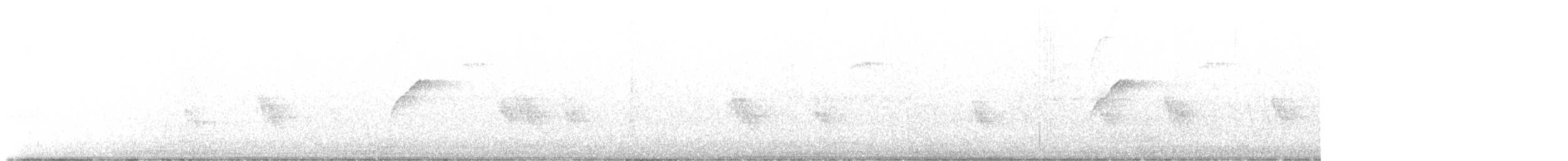 Moucherolle obscur (occidentalis/hellmayri) - ML594221821
