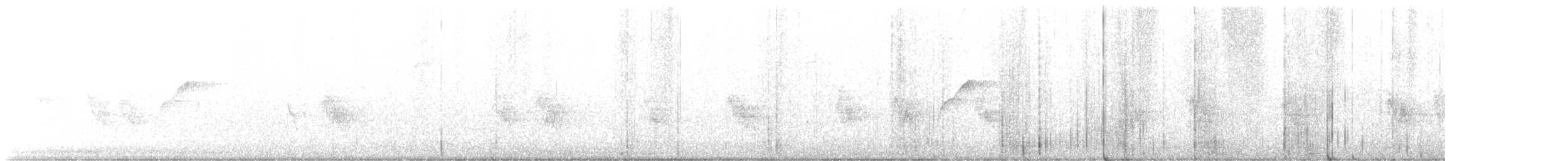 Batı Amerika Sinekkapanı (occidentalis/hellmayri) - ML594222011