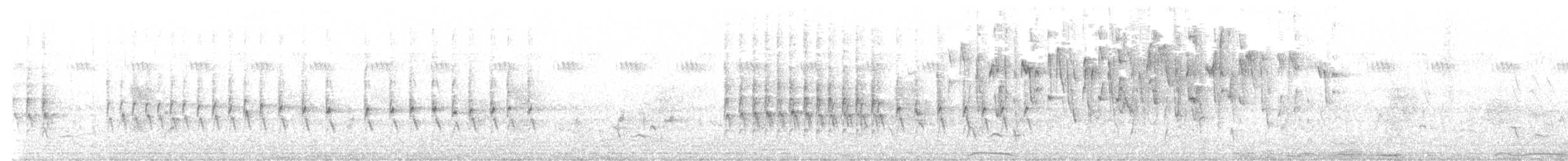 Souimanga du Marico - ML594233521