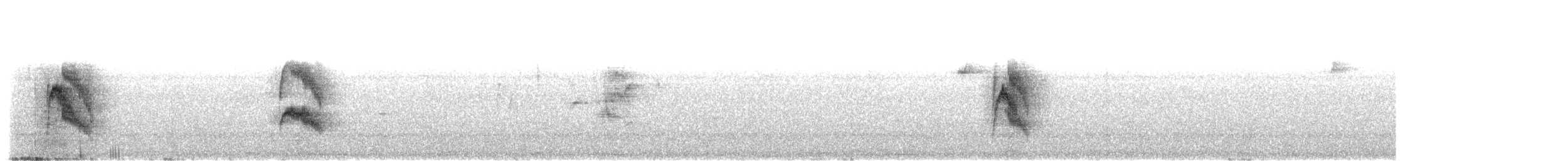 エボシキクタイランチョウ - ML594253411