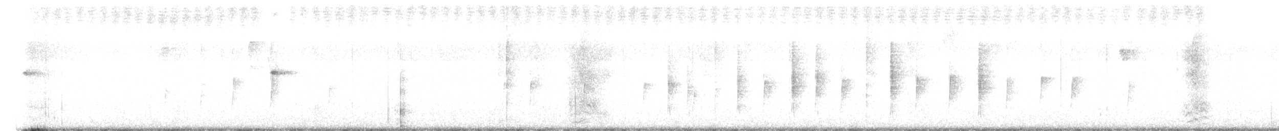 Тиранчик-довгохвіст білогорлий - ML594320061