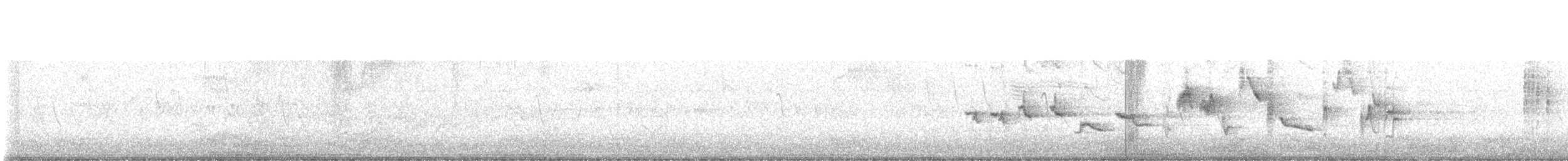 Orchard Oriole - ML594324901