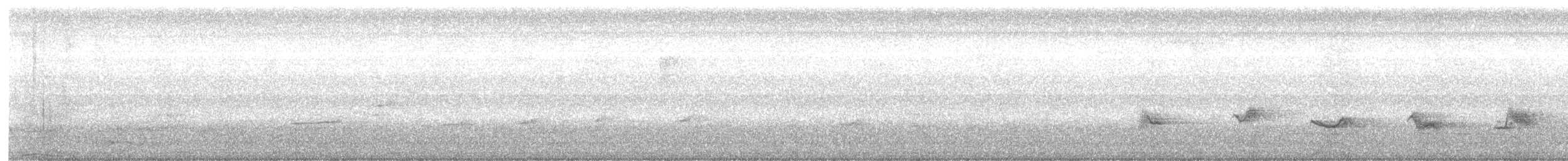 Kara Kanatlı Piranga - ML594326771