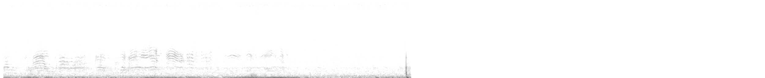 Sepiasturmtaucher (borealis) - ML594364441
