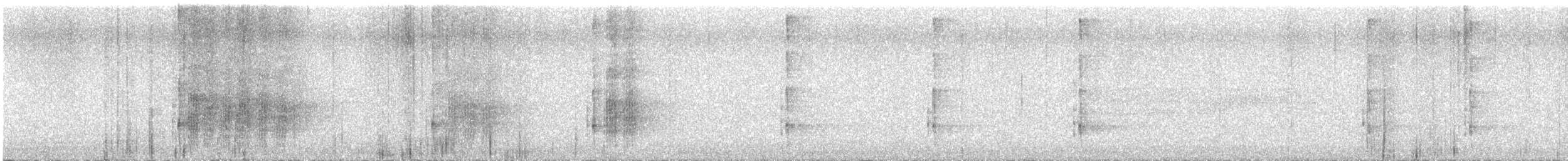 Black-backed Woodpecker - ML594368311