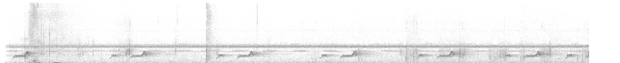 Mexikonachtschwalbe - ML594385231