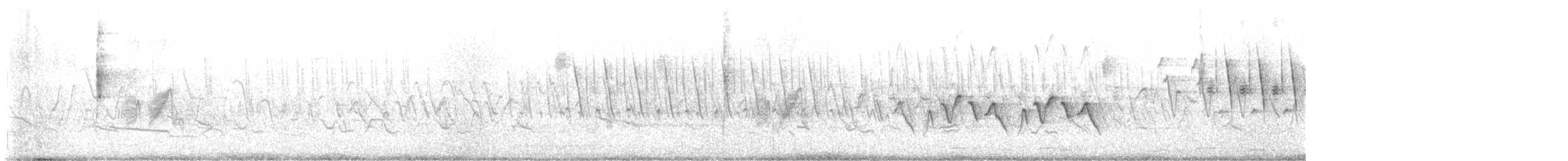 rødvingevåk (lineatus gr.) - ML594387711