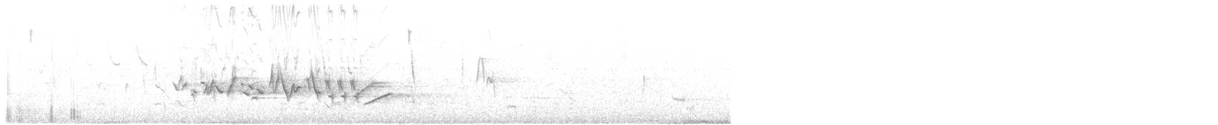 Чечевиця кармінова - ML594405191