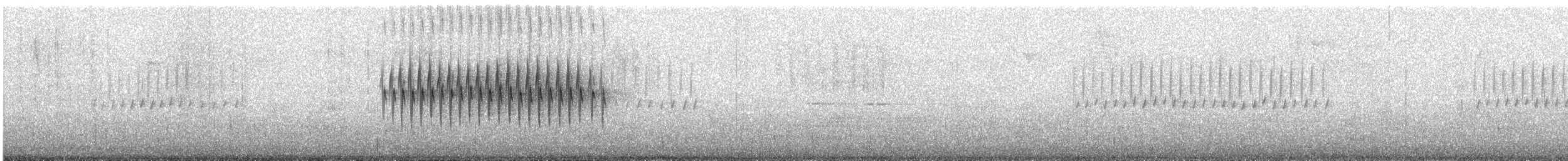 ユキヒメドリ（oreganus グループ） - ML594435011