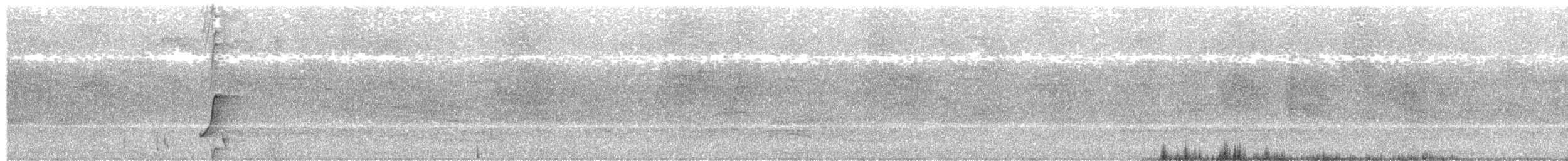 Buff-sided Robin - ML594476581