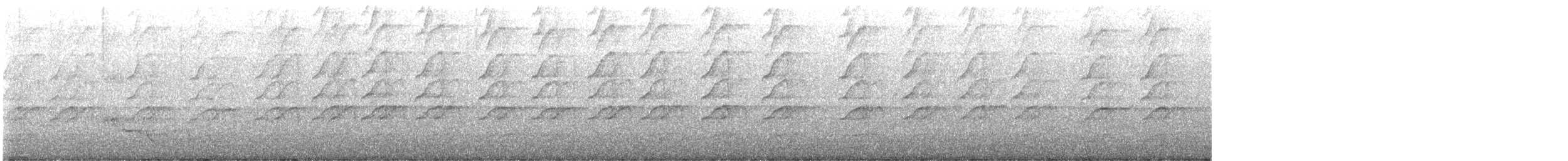 Méliphage bruyant - ML594476641