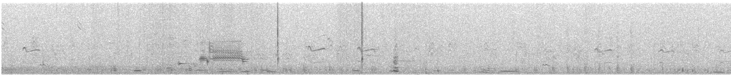 Cygne siffleur - ML594499681