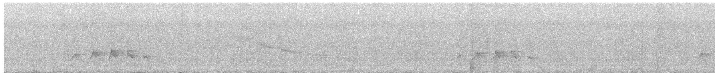 Coucou des Philippines - ML594500101