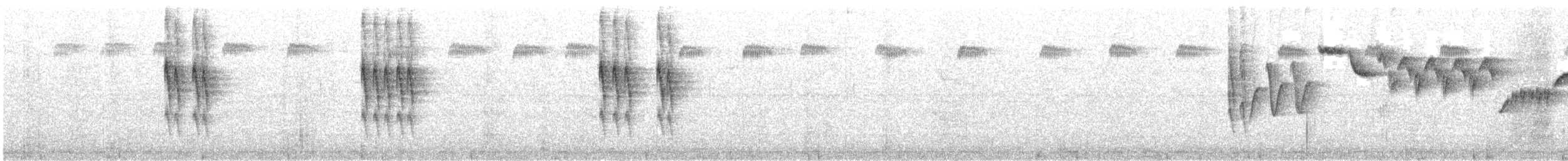 Troglodyte mignon - ML594504721