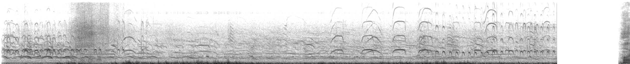 American Herring Gull - ML594507491