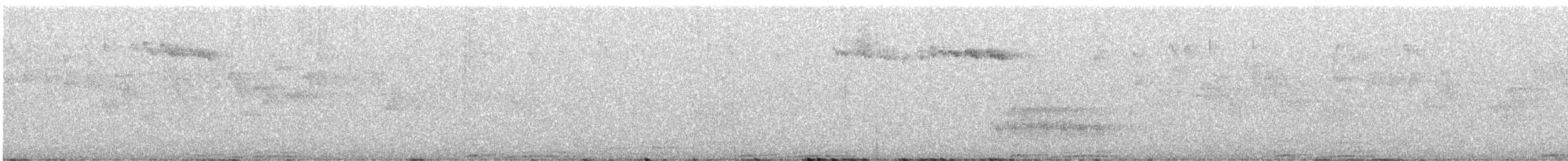 Полосатохвостый голубь - ML594518301