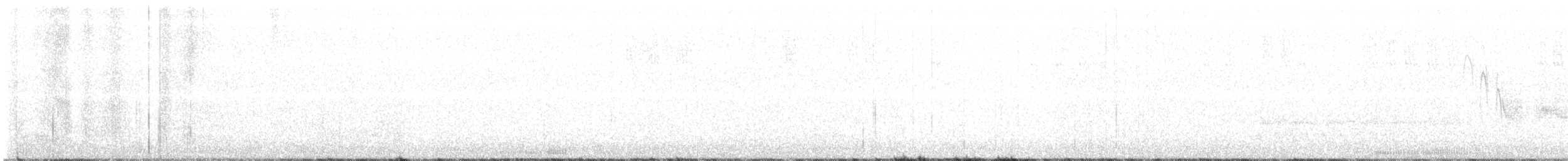Черноспинный трёхпалый дятел - ML594568641