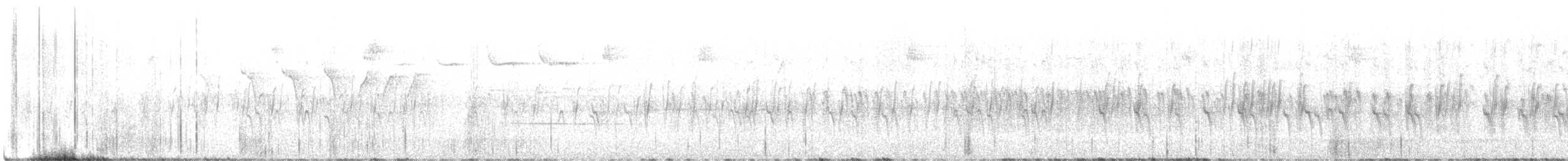 křivka bělokřídlá - ML594600441