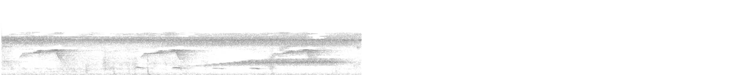 Weißflecken-Ameisenwächter - ML594633971