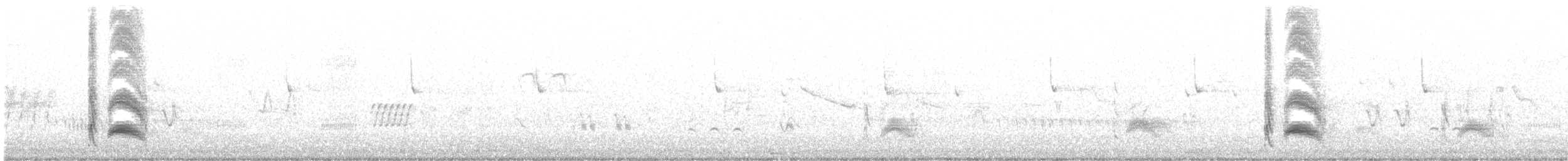 Серогрудый тиранн - ML594638311