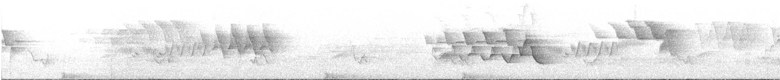 Cerulean Warbler - ML59465121