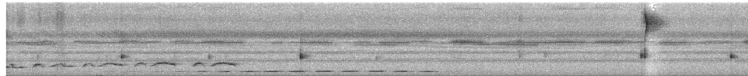Lyre-tailed Nightjar - ML594653311