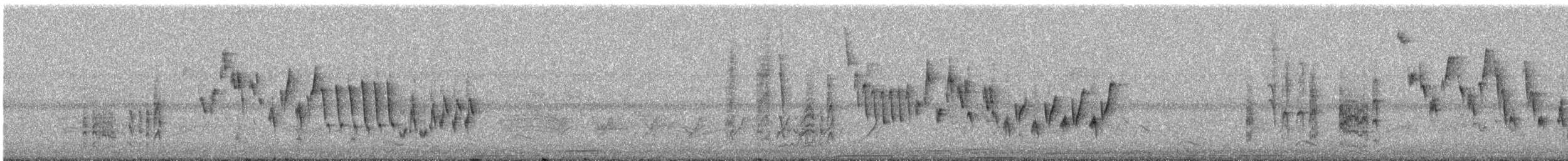 Northern House Wren - ML594658471