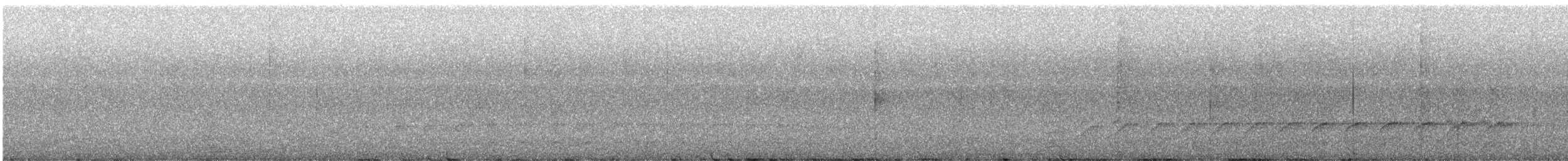 Полосатая желна [группа lineatus] - ML594683481