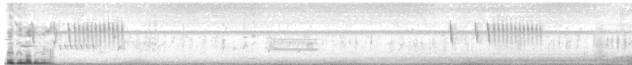 Sedge Wren - ML594699171