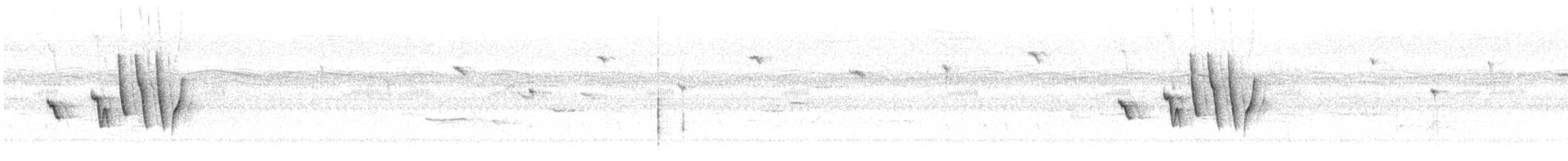 Бледноногая короткохвостка - ML594702861