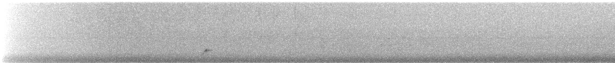 Eurasian Nightjar - ML594704361