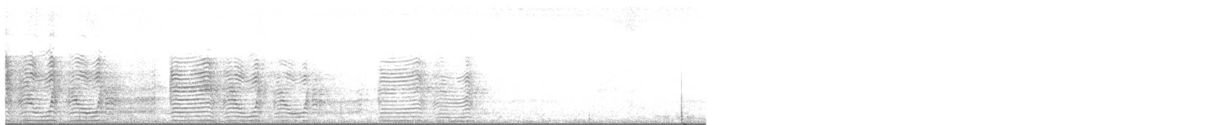 Cory's Shearwater (borealis) - ML594710911