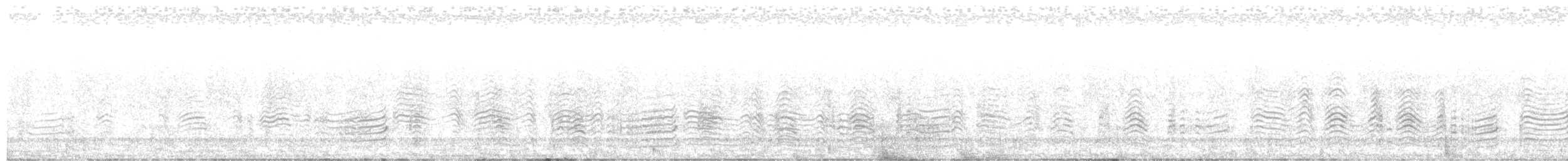 Cory's Shearwater (borealis) - ML594710921