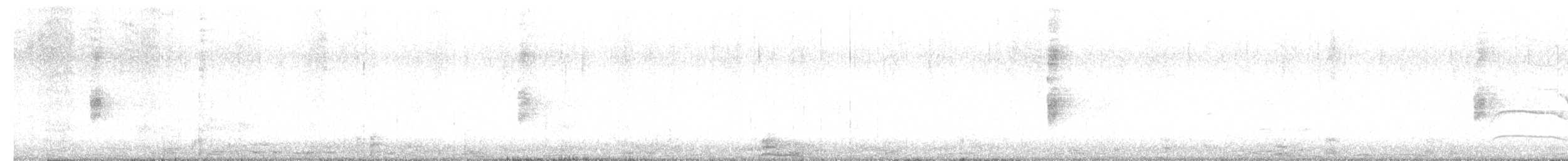 Белокрылый пересмешник - ML594730961