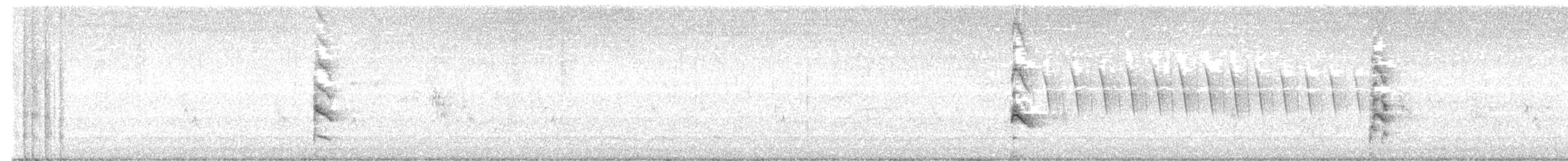 Râle de Virginie - ML594739741