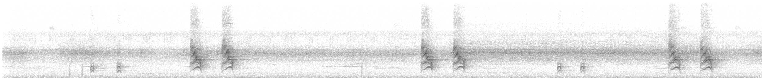 White-necked Thrush - ML594744131