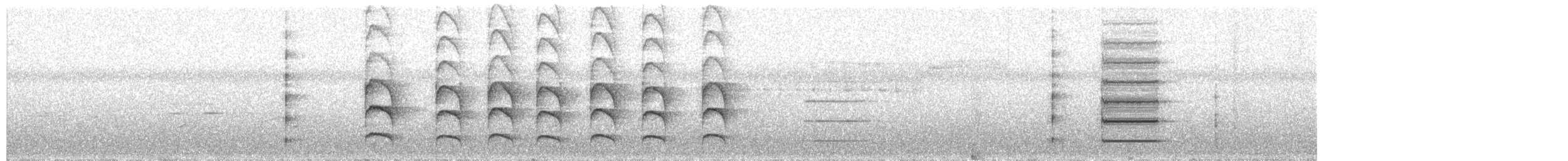 Club-winged Manakin - ML594774231