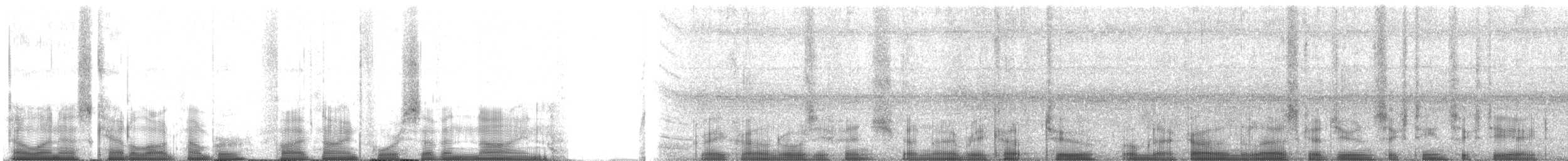 grånakkefjellfink (griseonucha) - ML59479