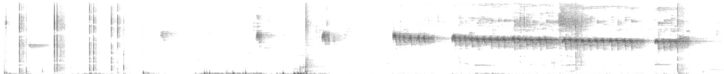 Échelet à sourcils roux - ML594804201