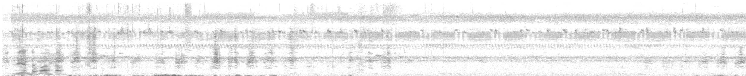 sokol stěhovavý (ssp. peregrinator) - ML594823731