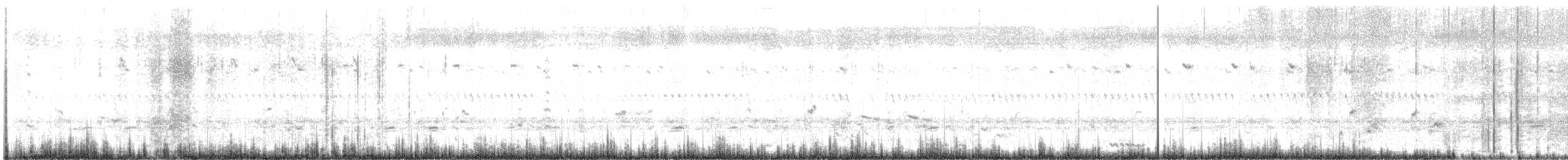 sokol stěhovavý (ssp. peregrinator) - ML594823741
